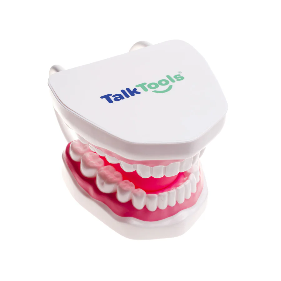 Logicana TalkTools® Mouth Demonstrator articulation model showing tongue and teeth position