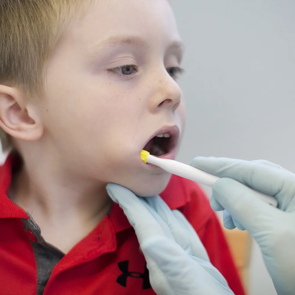 Mundmotorik-sensorik-sensorische reize-orale Aufmerksamkeit-Zahnfleischmassage